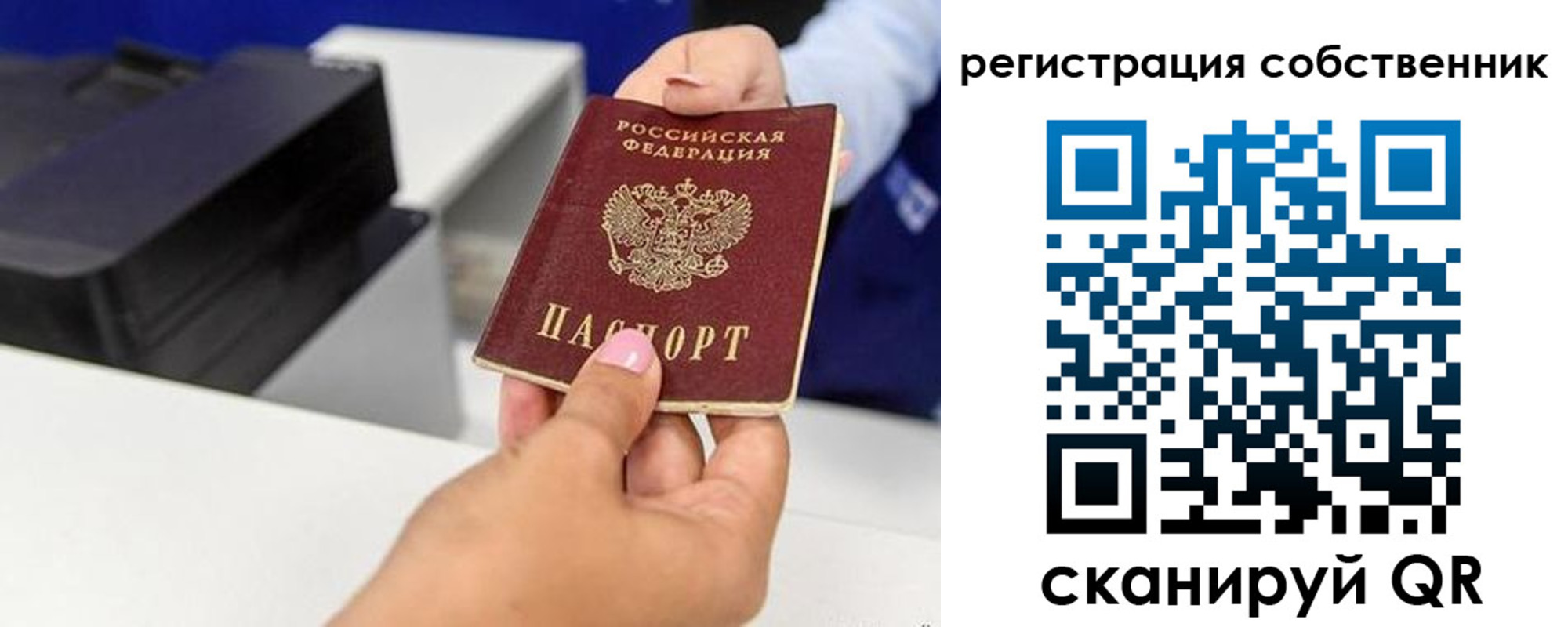 прописка для школы в Емве